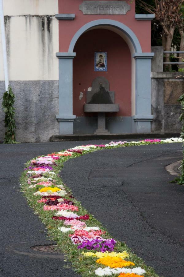 Antonella Home Funchal Eksteriør bilde